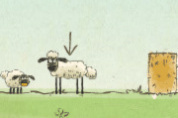 Home Sheep